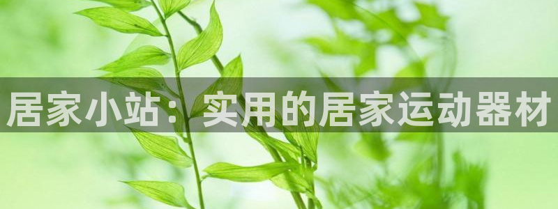zoty中欧体育官网下载平台APP：居家小站：实用的