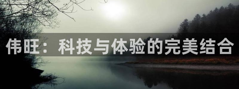 zoty中欧体育官方正版app娱乐平台：伟旺：科技与