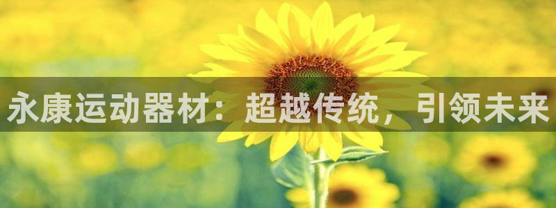 zoty中欧体育官方正版app代理：永康运动器材：超