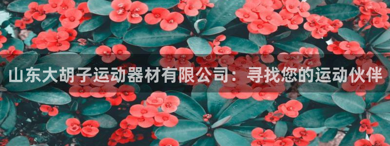 海南zoty中欧体育官网下载：山东大胡子运动器材有限