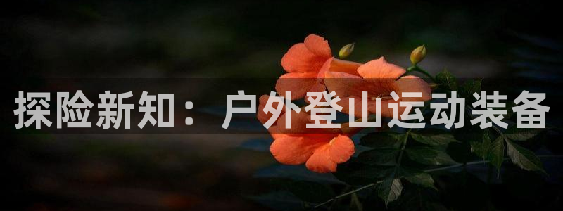 zoty中欧体育官方正版app官方：探险新知：户外登山运动装