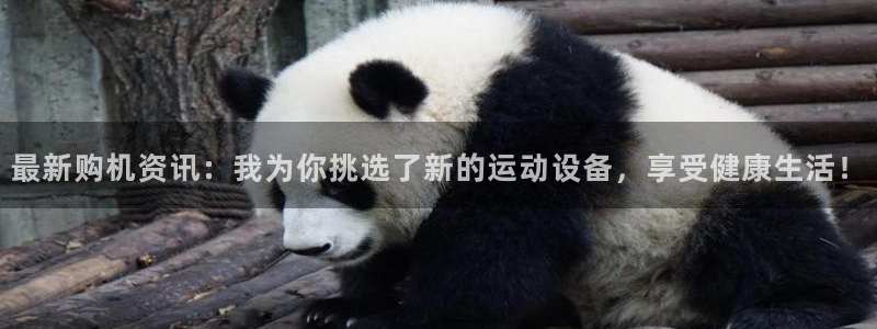 海南zoty中欧体育官网下载：最新购机资讯：我为你挑