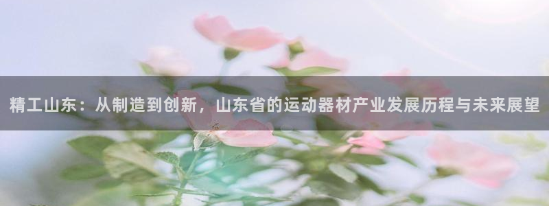 海南zoty中欧体育官网下载：精工山东：从制造到创新，山东省