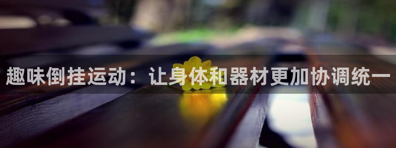 zoty中欧体育官网下载开户：趣味倒挂运动：让身体和器材更加