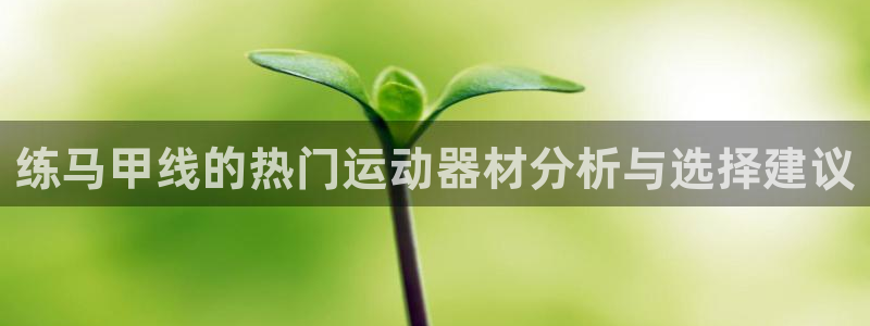 zoty中欧体育官网下载招商电话地址