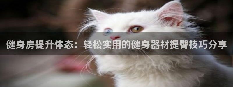 zoty中欧体育官网下载开户：健身房提升体态：轻松实